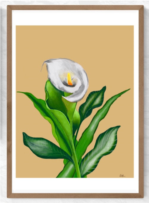 “Calla Lilly Calling” Print